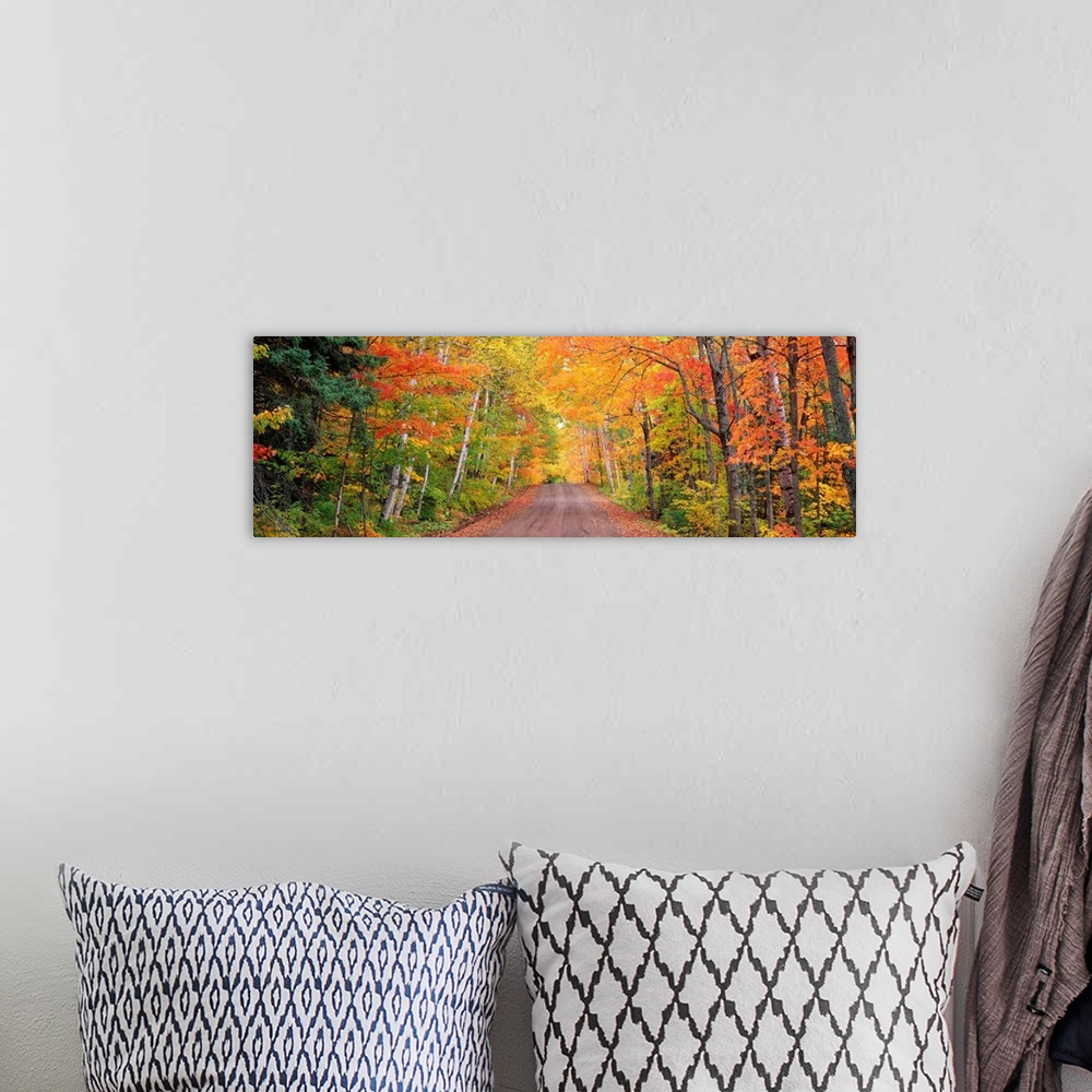 A bohemian room featuring Panoramic photograph of a dirt road through a forest in autumn.