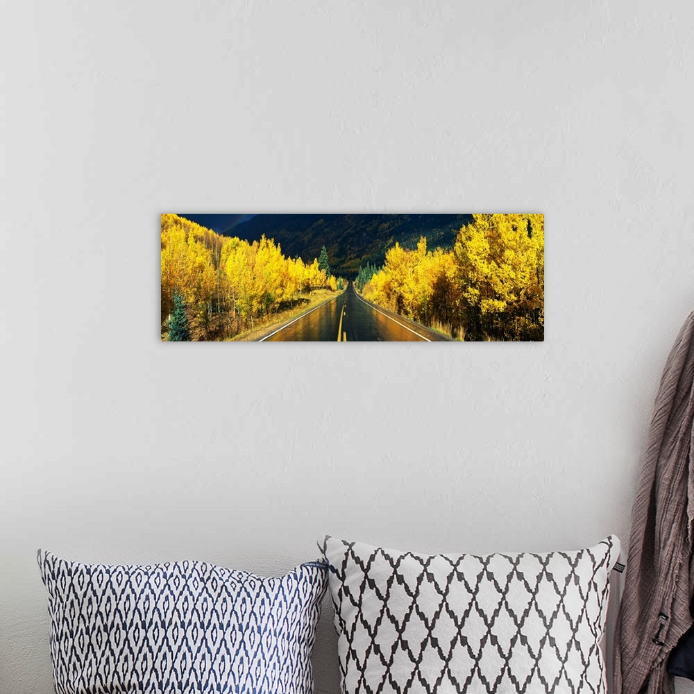 A bohemian room featuring Panoramic photograph shows a wet roadway in Colorado faintly displaying the blurry reflection of ...