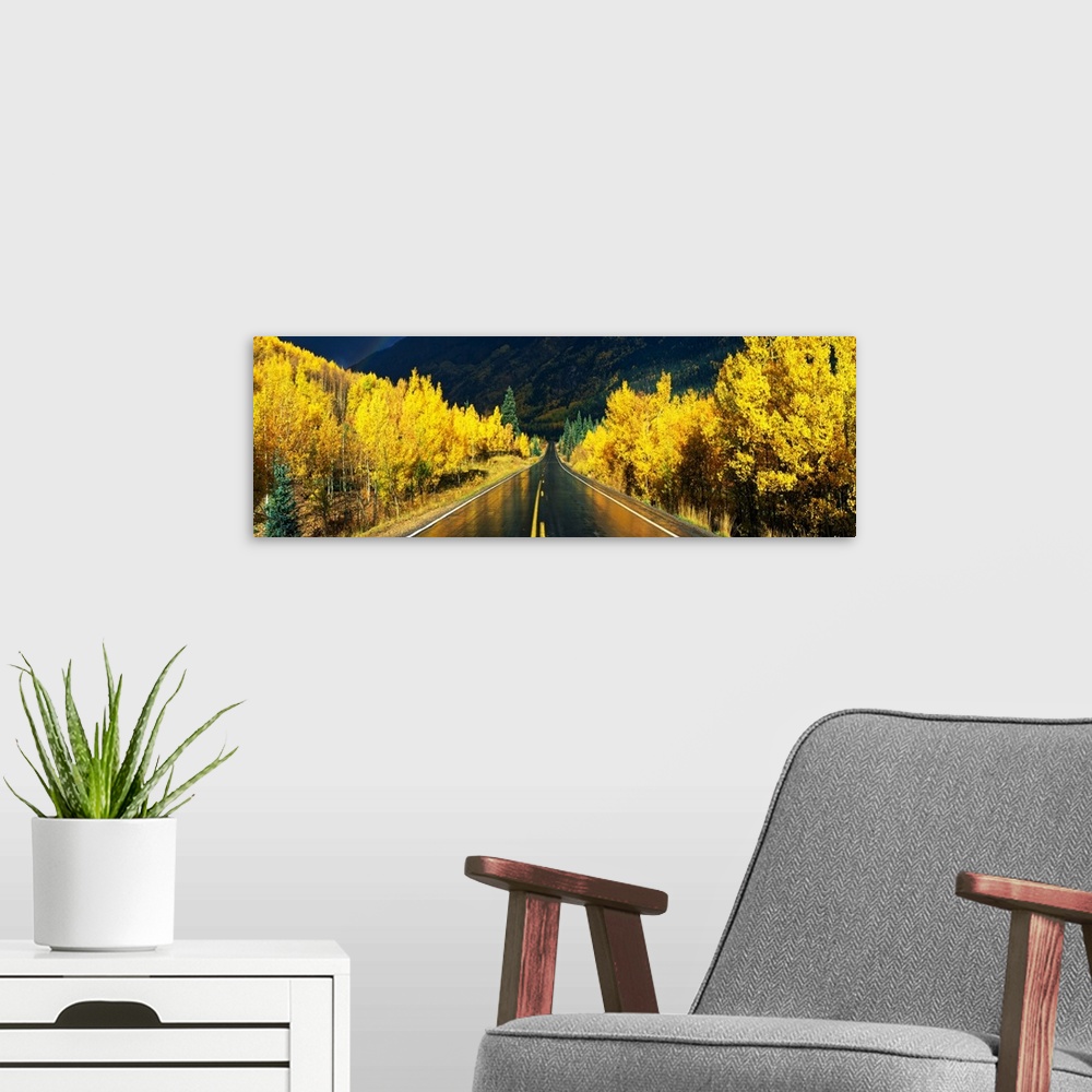 A modern room featuring Panoramic photograph shows a wet roadway in Colorado faintly displaying the blurry reflection of ...