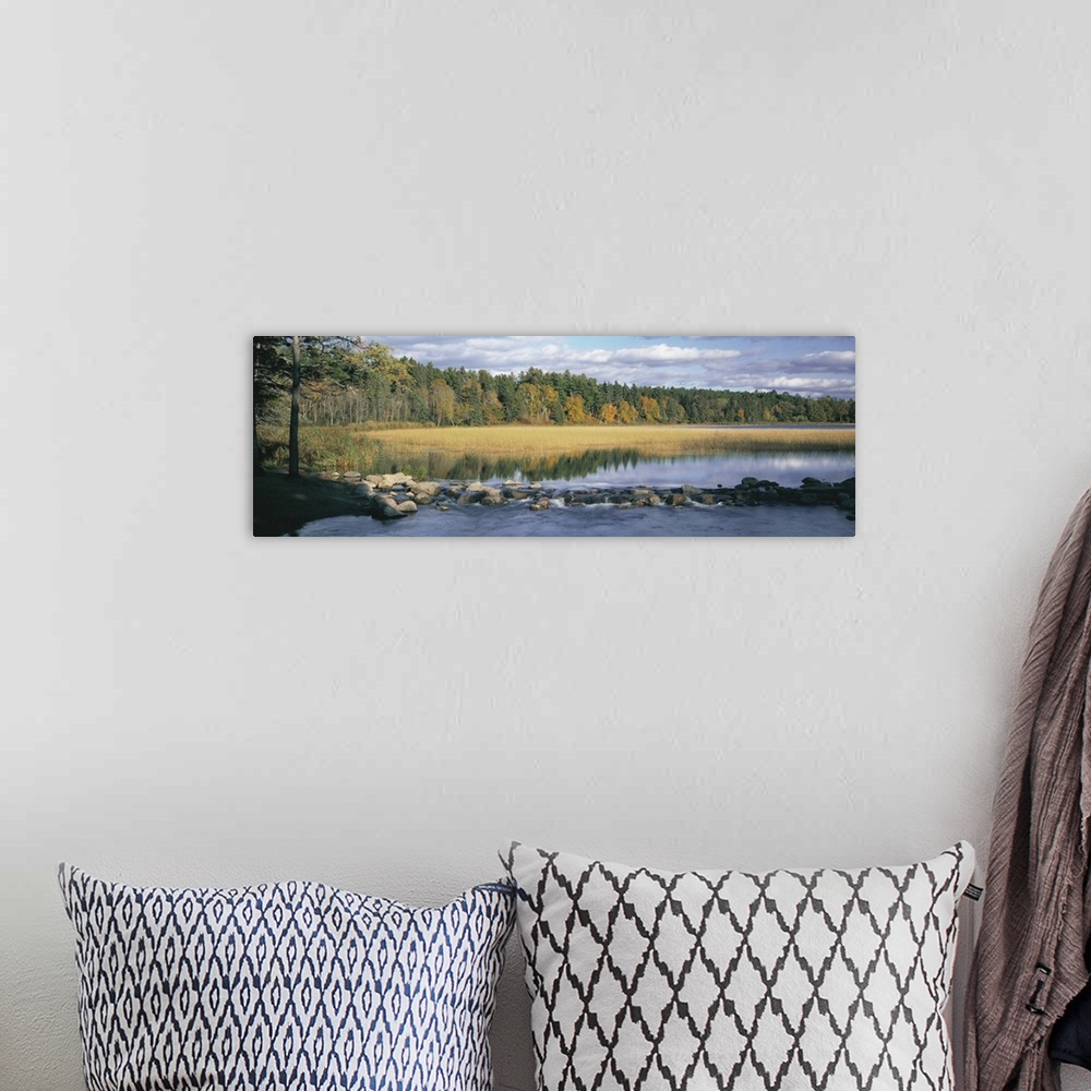 A bohemian room featuring Panoramic photograph of rocky river with forest in the distance under a cloudy sky.