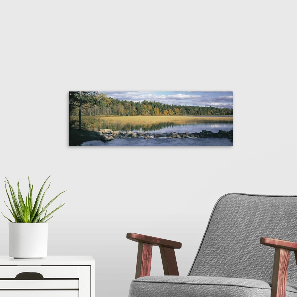 A modern room featuring Panoramic photograph of rocky river with forest in the distance under a cloudy sky.