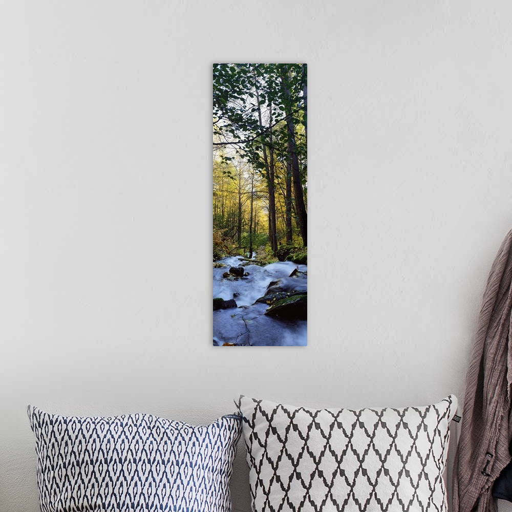 A bohemian room featuring A rushing stream cuts through dense forest in this tall panoramic piece.
