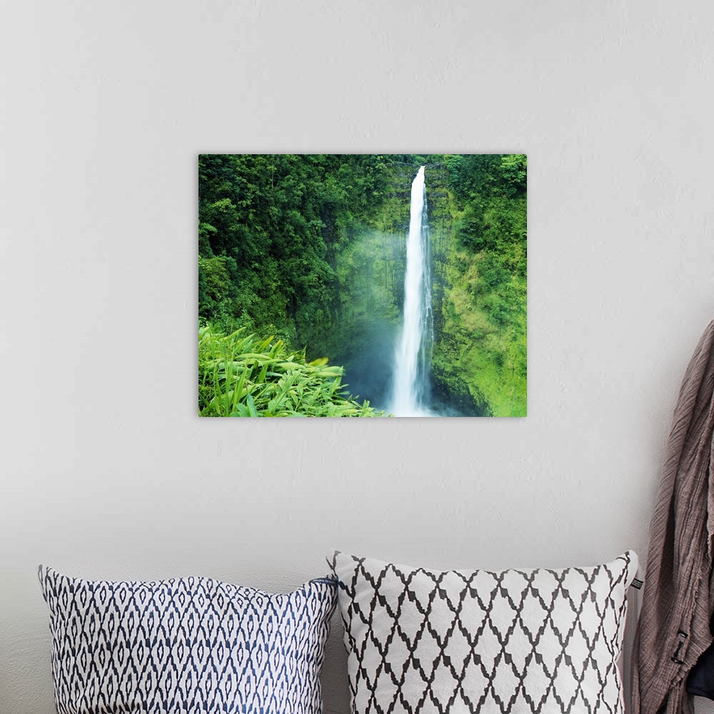 A bohemian room featuring Misty Akaka Falls, Akaka Falls State Park, Big Island of Hawaii, Hawaii