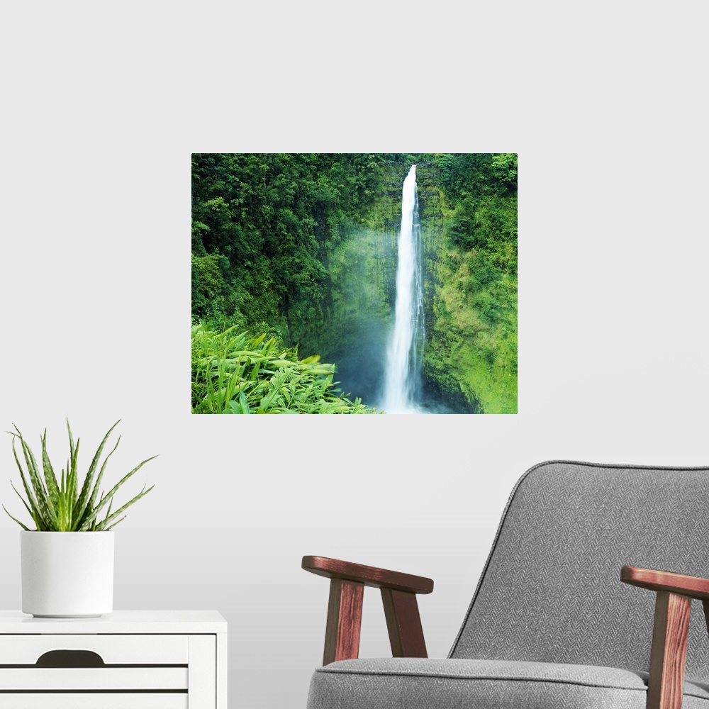 A modern room featuring Misty Akaka Falls, Akaka Falls State Park, Big Island of Hawaii, Hawaii