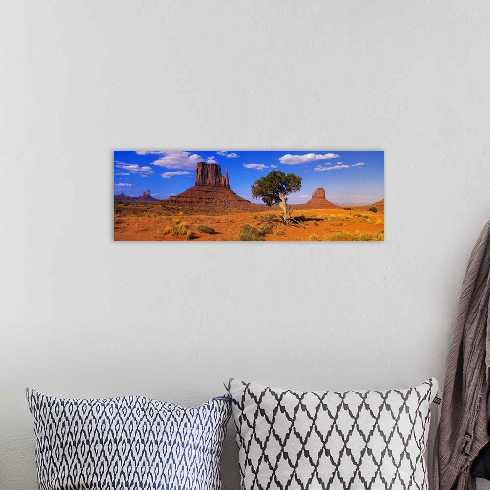 A bohemian room featuring Long horizontal photo on canvas of rock formations in the desert of Arizona.
