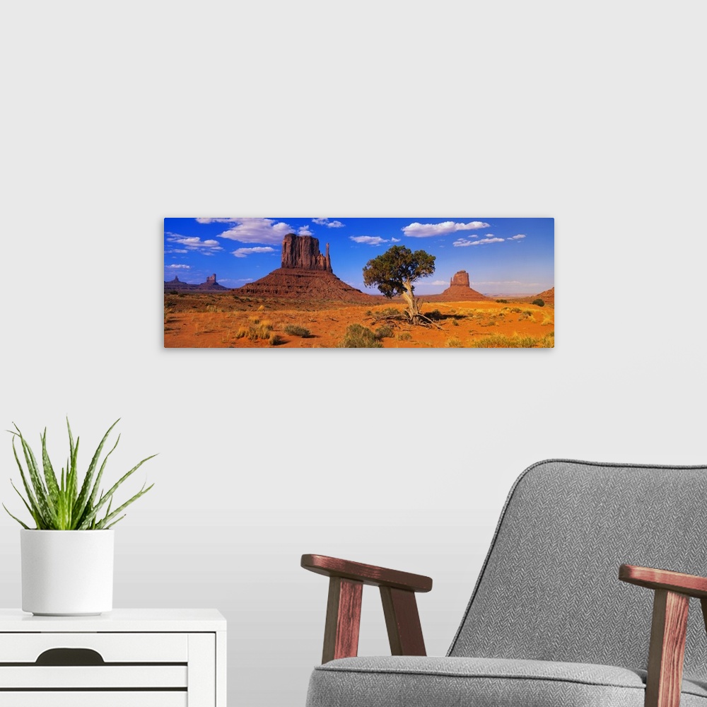 A modern room featuring Long horizontal photo on canvas of rock formations in the desert of Arizona.