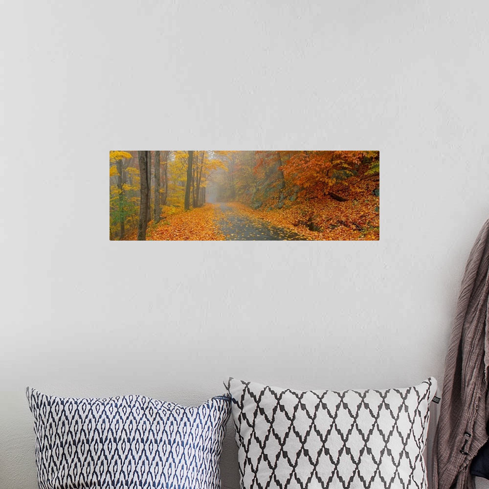 A bohemian room featuring Giant landscape photograph of Monadnock Mountain Road in New Hampshire, surrounded by a forest of...