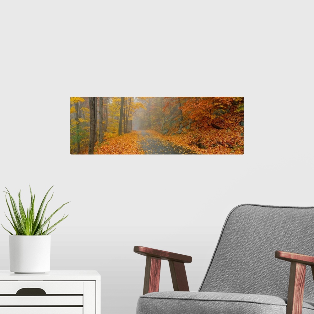 A modern room featuring Giant landscape photograph of Monadnock Mountain Road in New Hampshire, surrounded by a forest of...