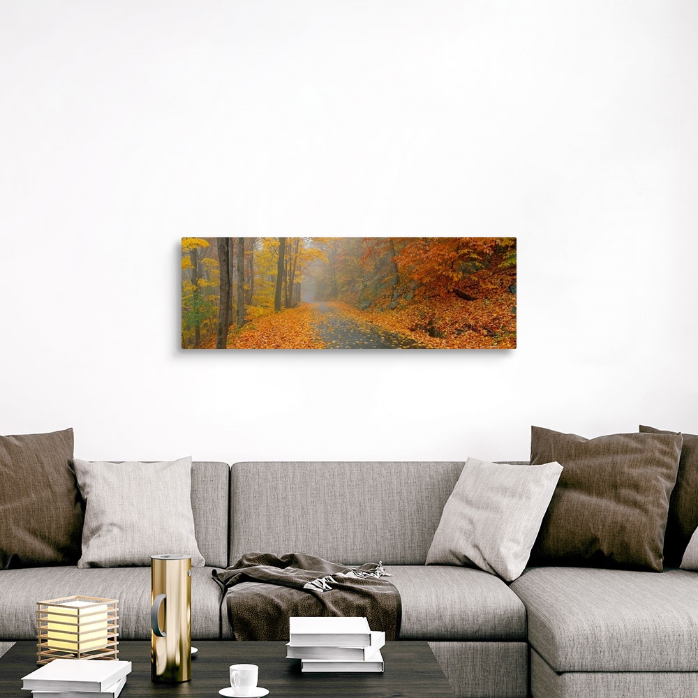 A traditional room featuring Giant landscape photograph of Monadnock Mountain Road in New Hampshire, surrounded by a forest of...