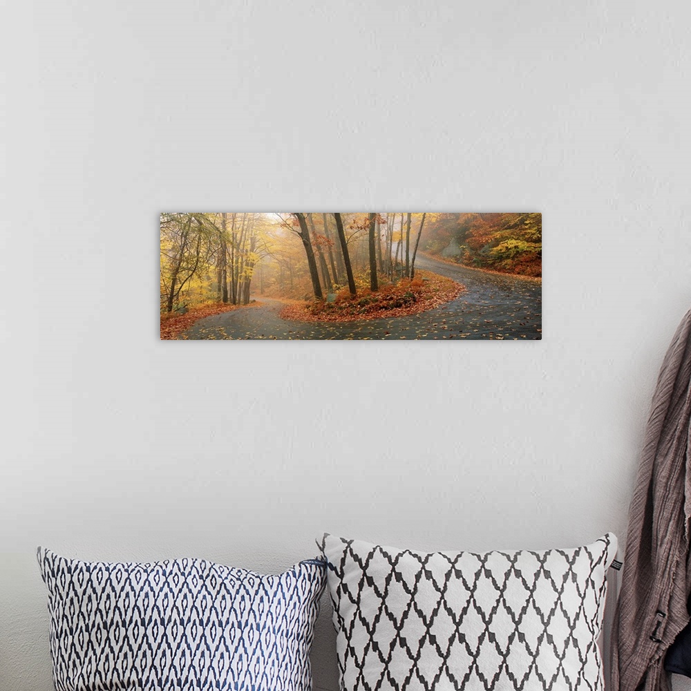 A bohemian room featuring A big panoramic wall hanging of a winding road through a New England forest in autumn.