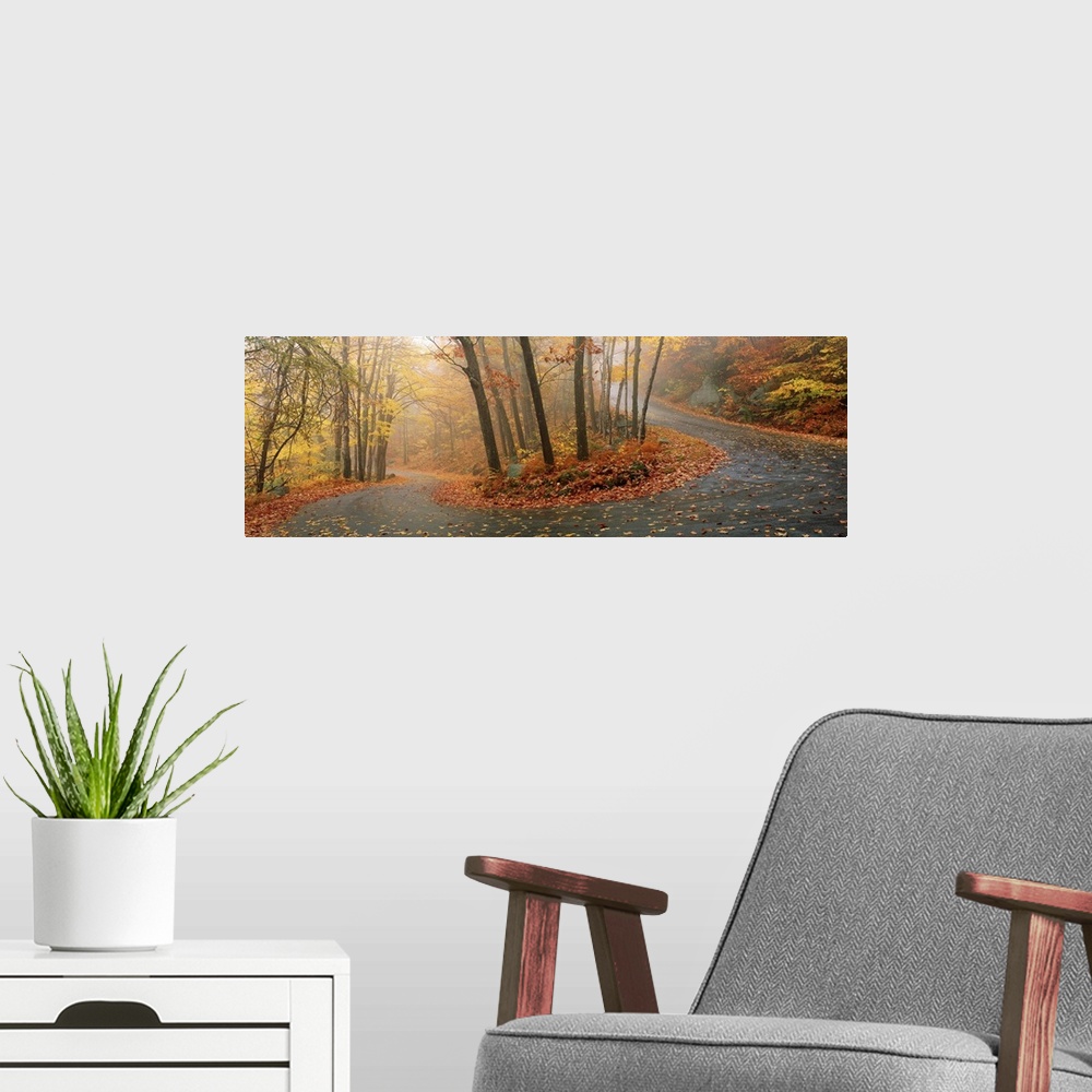 A modern room featuring A big panoramic wall hanging of a winding road through a New England forest in autumn.