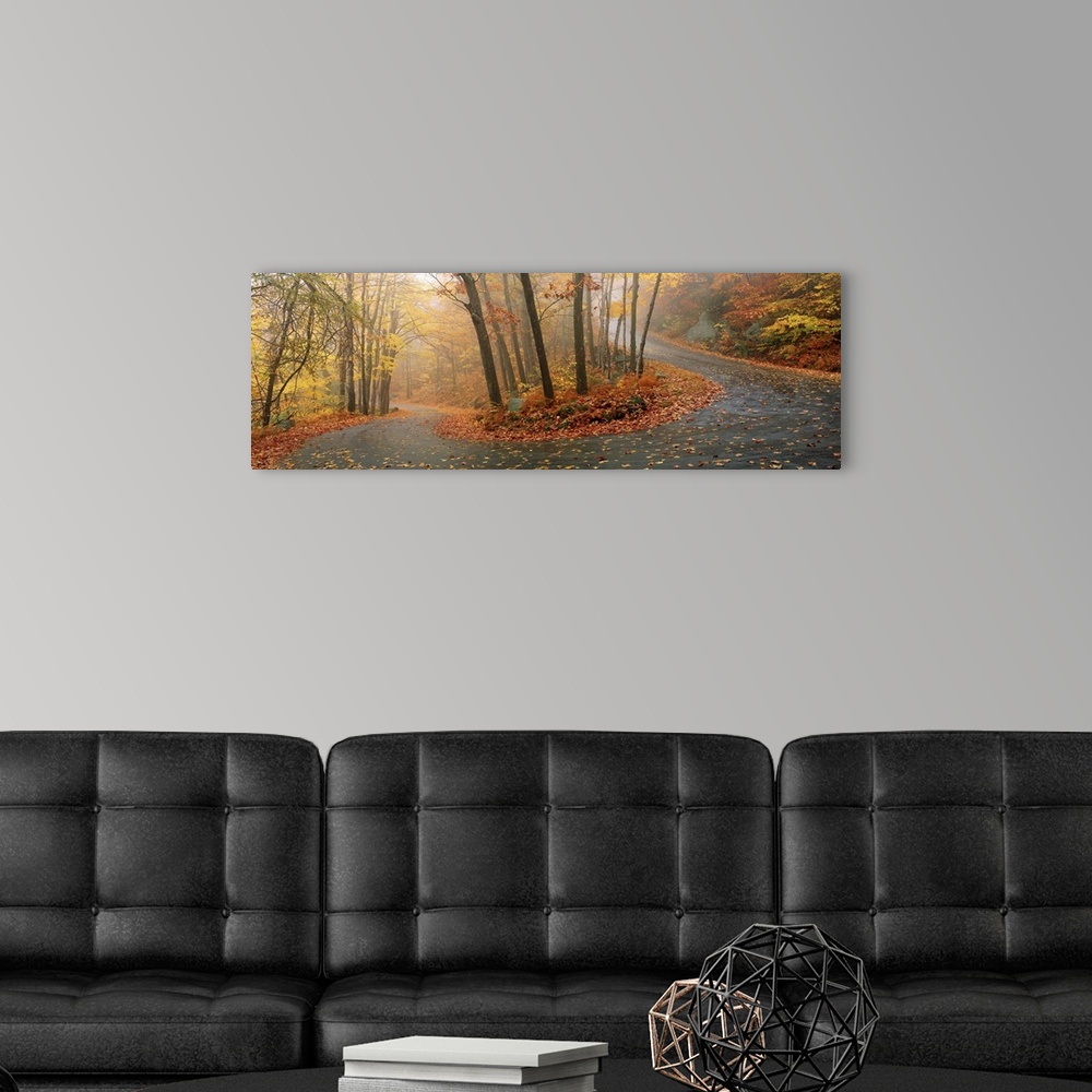 A modern room featuring A big panoramic wall hanging of a winding road through a New England forest in autumn.