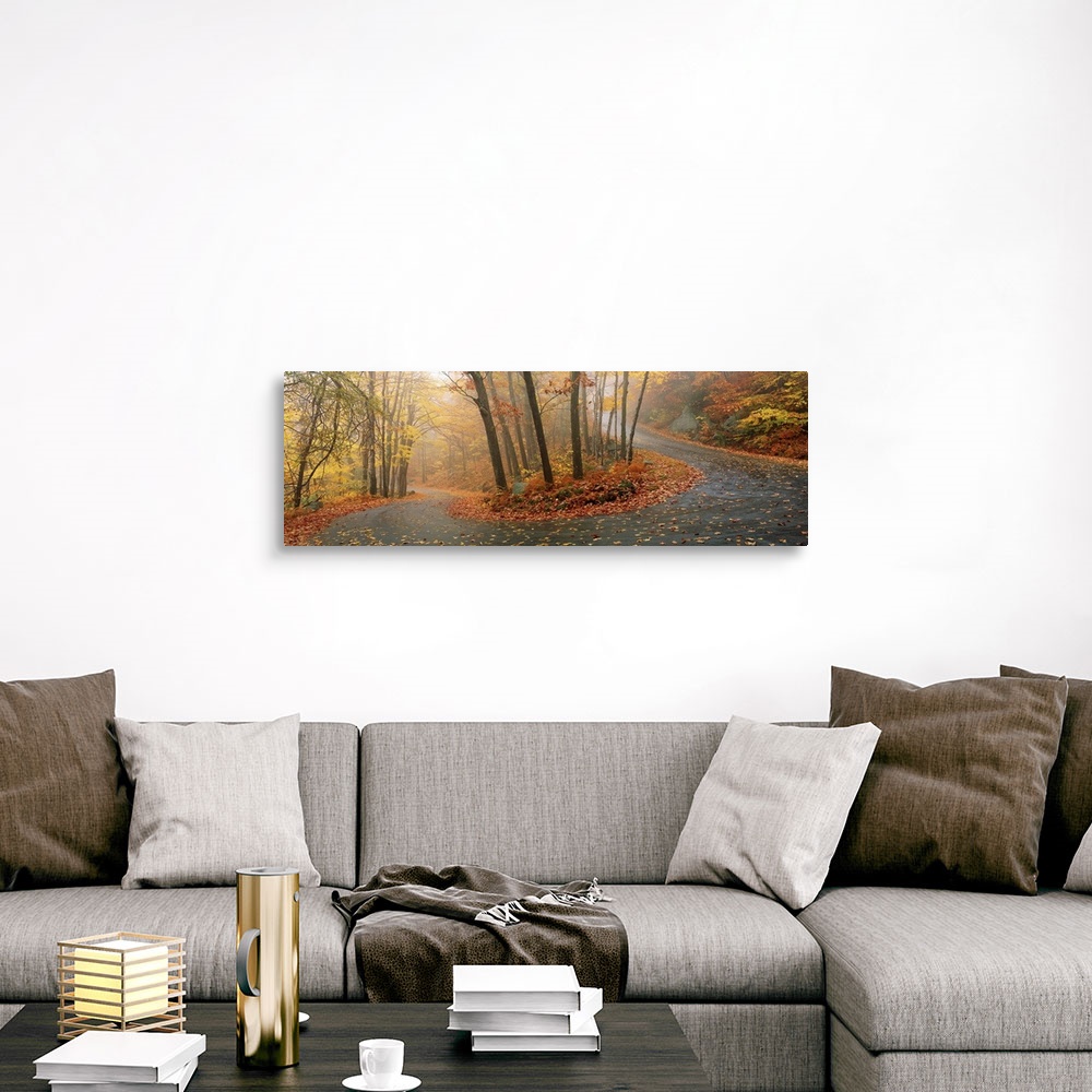 A traditional room featuring A big panoramic wall hanging of a winding road through a New England forest in autumn.