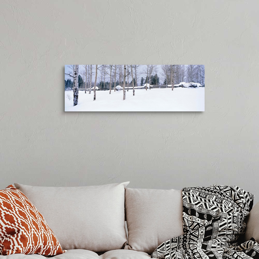 A bohemian room featuring Montana, fence, aspen, snow, winter
