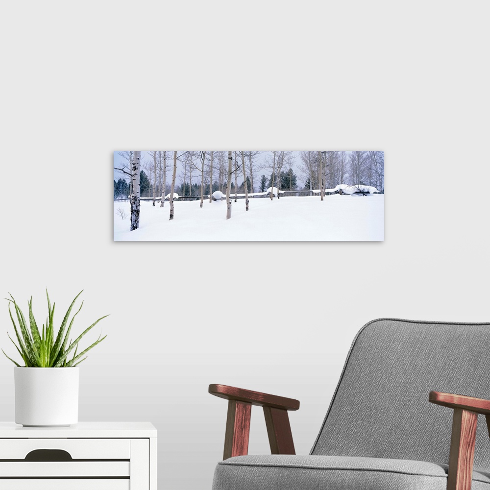A modern room featuring Montana, fence, aspen, snow, winter