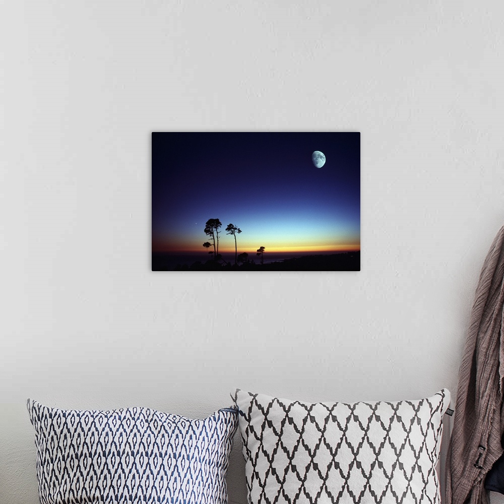 A bohemian room featuring Photograph of tall trees at sunset with moon high in the sky.