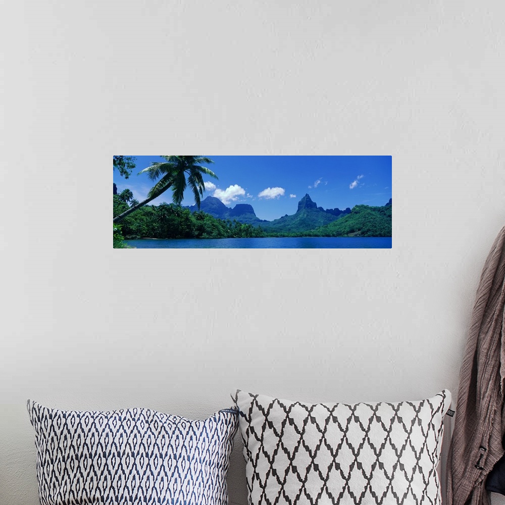 A bohemian room featuring Panoramic photograph of forest and mountain covered landform surrounded by ocean.