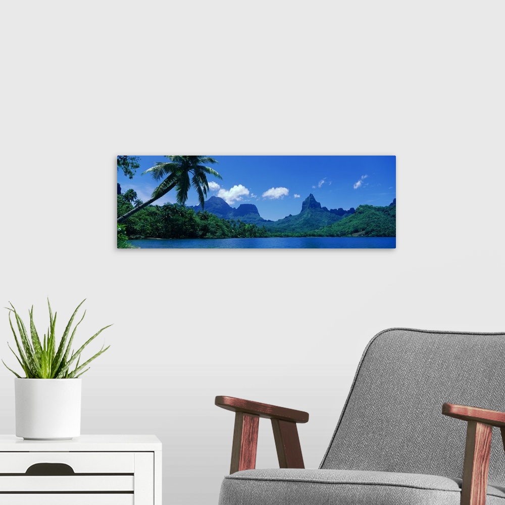 A modern room featuring Panoramic photograph of forest and mountain covered landform surrounded by ocean.