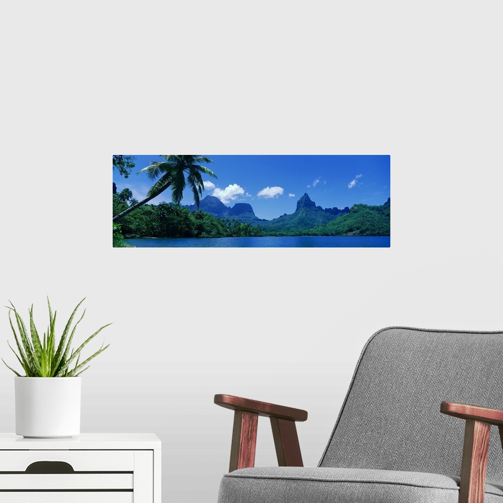 A modern room featuring Panoramic photograph of forest and mountain covered landform surrounded by ocean.