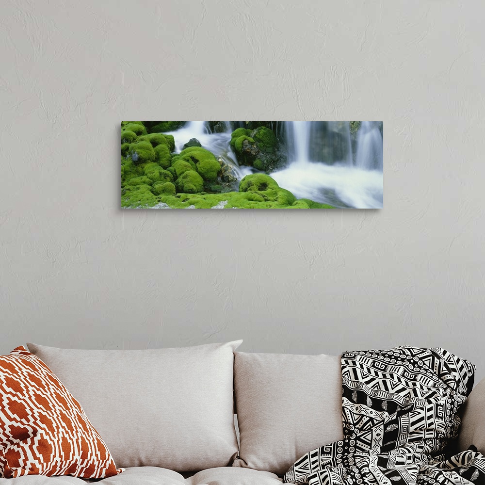 A bohemian room featuring Oversized, horizontal photograph of a stream rushing through large, rocky terrain covered in thic...