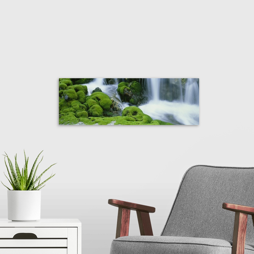 A modern room featuring Oversized, horizontal photograph of a stream rushing through large, rocky terrain covered in thic...