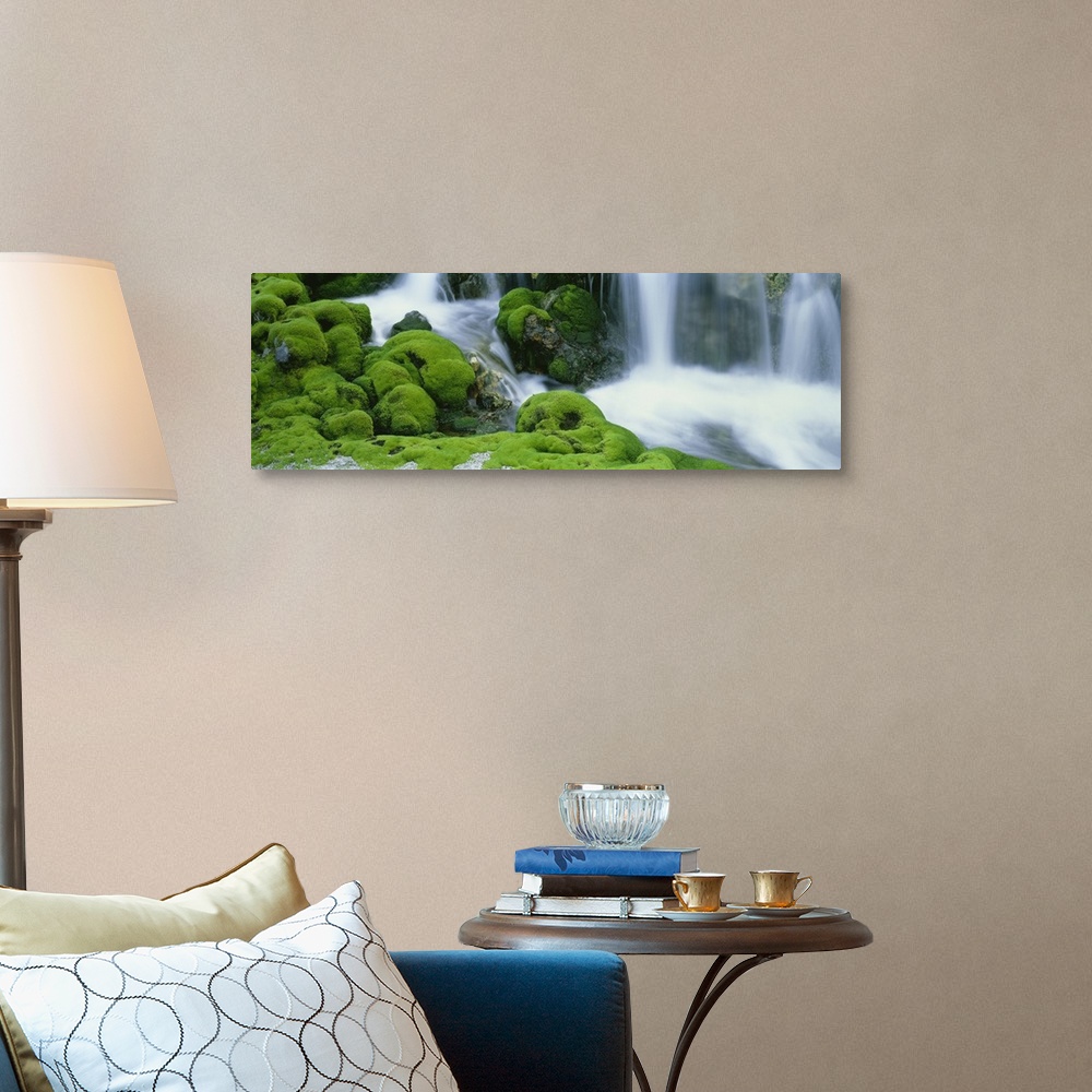 A traditional room featuring Oversized, horizontal photograph of a stream rushing through large, rocky terrain covered in thic...