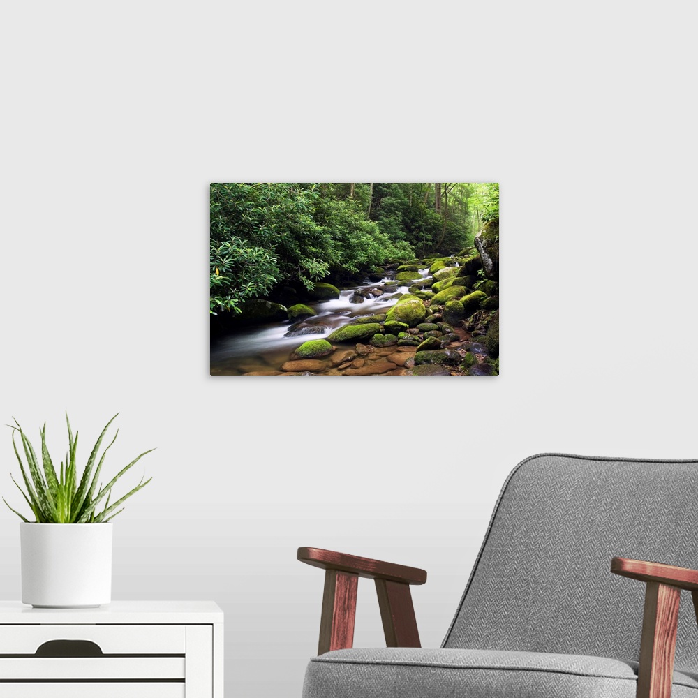 A modern room featuring A time lapsed landscape photograph of a stream passing through round moss covered boulders in a f...