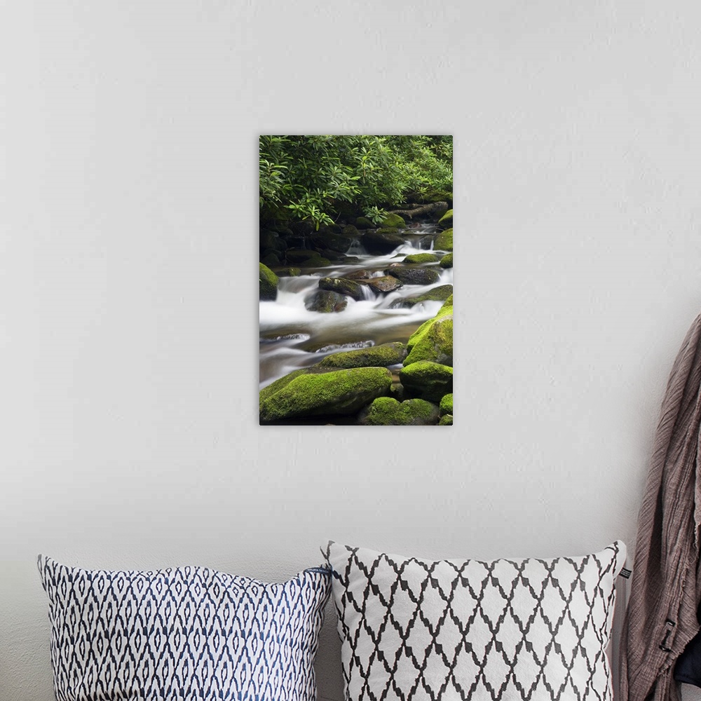 A bohemian room featuring Giant photograph shows fast-moving water traveling down a stream and over rocks of varying sizes,...