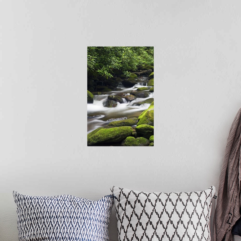 A bohemian room featuring Giant photograph shows fast-moving water traveling down a stream and over rocks of varying sizes,...