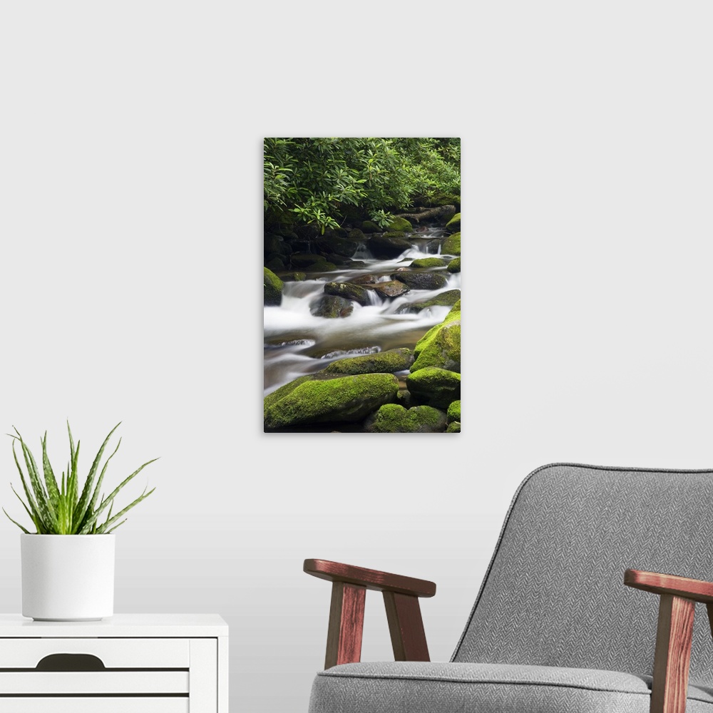 A modern room featuring Giant photograph shows fast-moving water traveling down a stream and over rocks of varying sizes,...