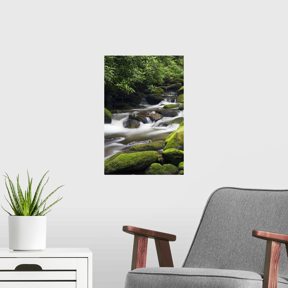 A modern room featuring Giant photograph shows fast-moving water traveling down a stream and over rocks of varying sizes,...