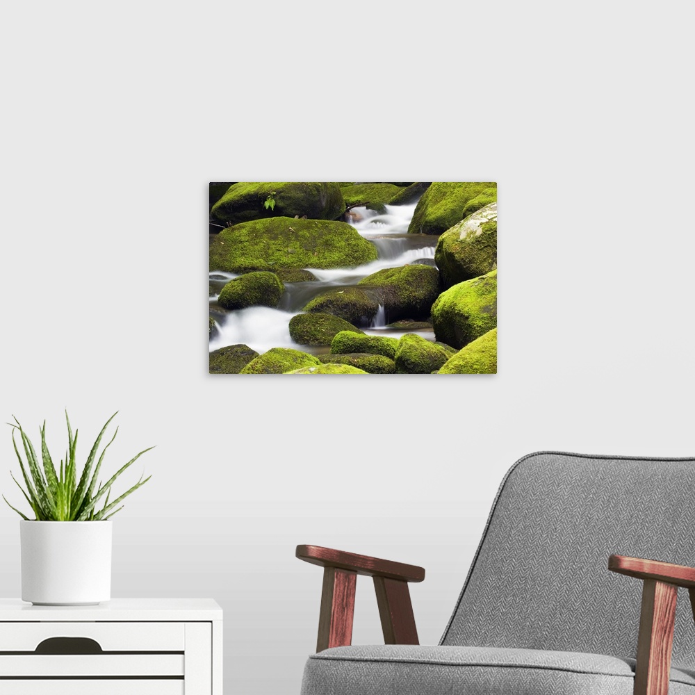 A modern room featuring Large rocks are covered with moss as water runs down them.