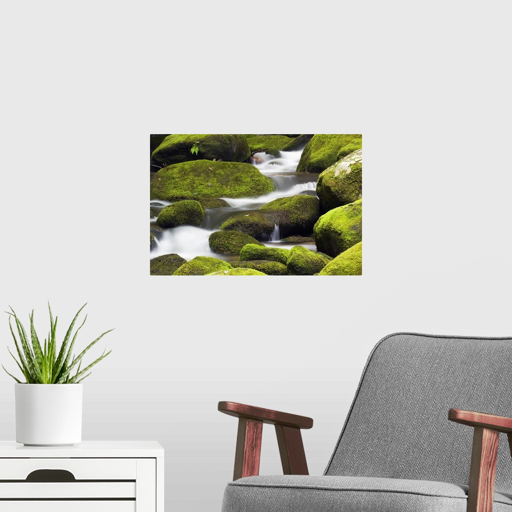 A modern room featuring Large rocks are covered with moss as water runs down them.