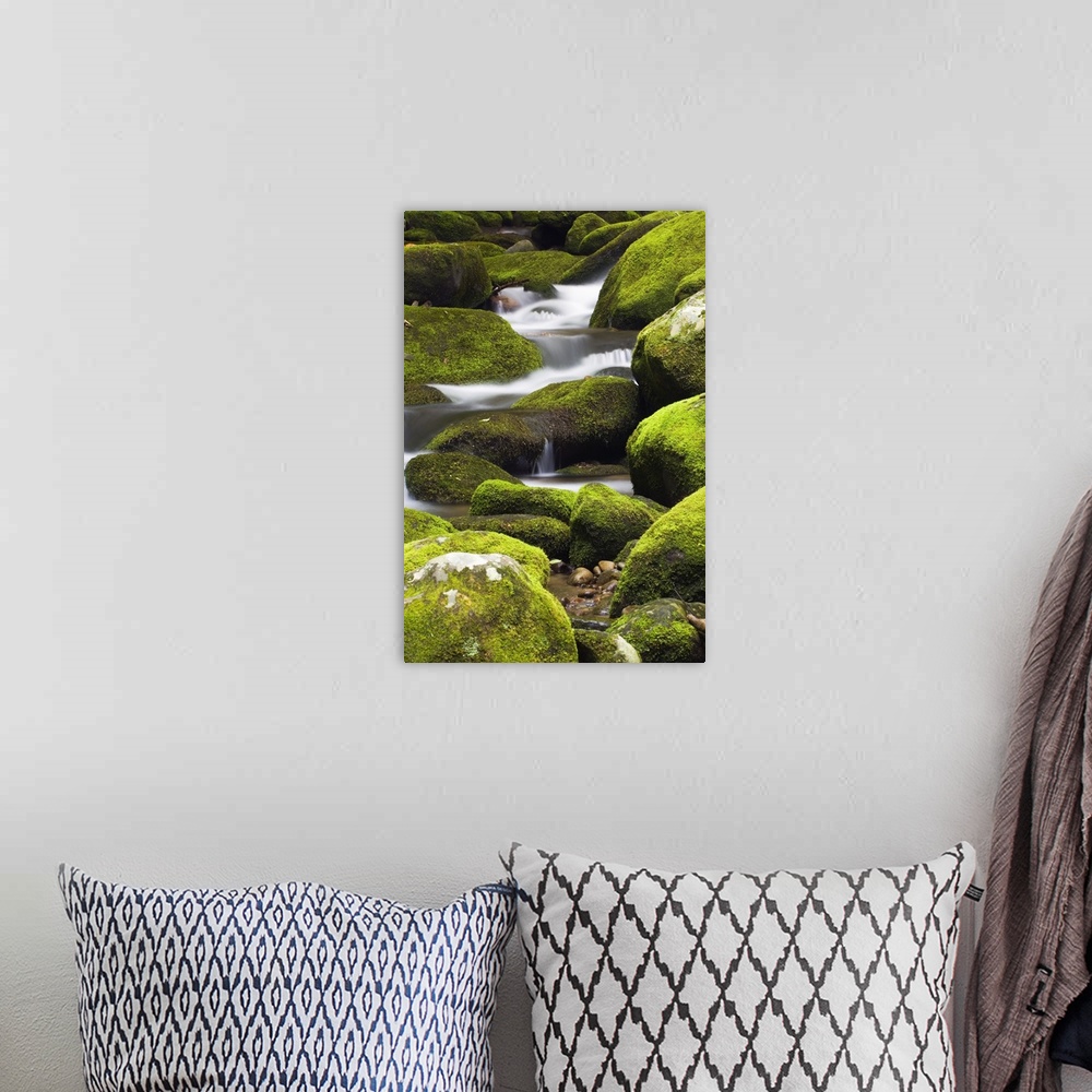 A bohemian room featuring Giant vertical photograph of the Little Pigeon River running downhill, through large rocks covere...