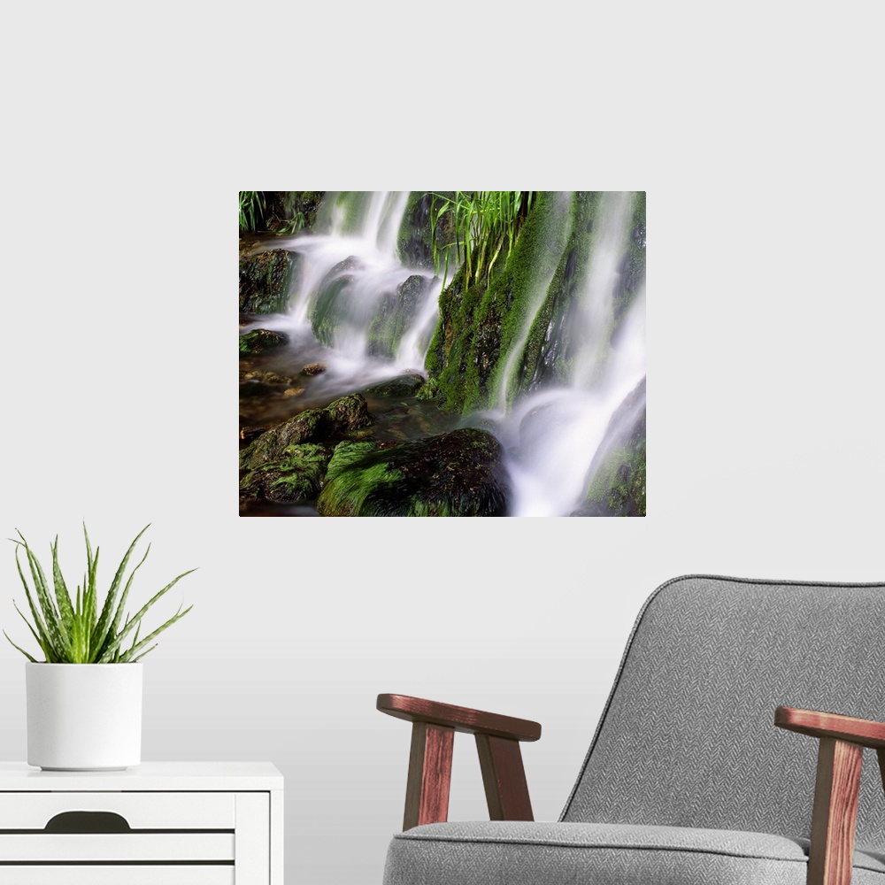 A modern room featuring Moss-covered rocks and rushing water, Malanaphy Springs, Malanaphy Springs State Preserve, Iowa