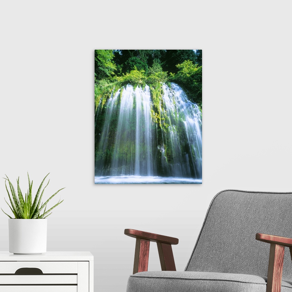 A modern room featuring A waterfall cascades of a rock face overgrown with plant life in this vertical, landscape photogr...