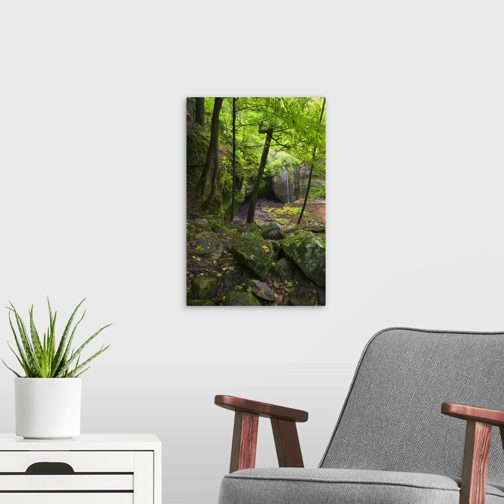 A modern room featuring Mossy boulders and lush foliage beside Stephens Falls, Governor Dodge State Park, Wisconsin
