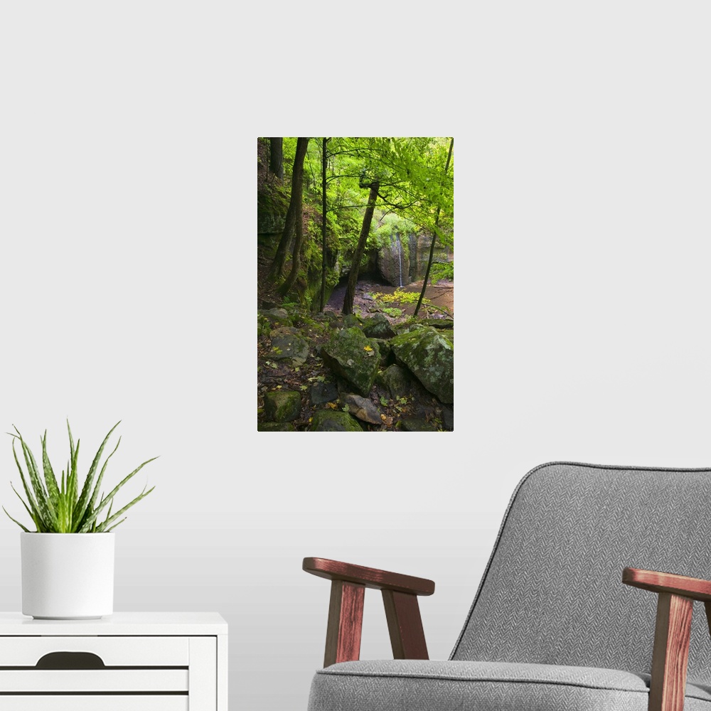 A modern room featuring Mossy boulders and lush foliage beside Stephens Falls, Governor Dodge State Park, Wisconsin