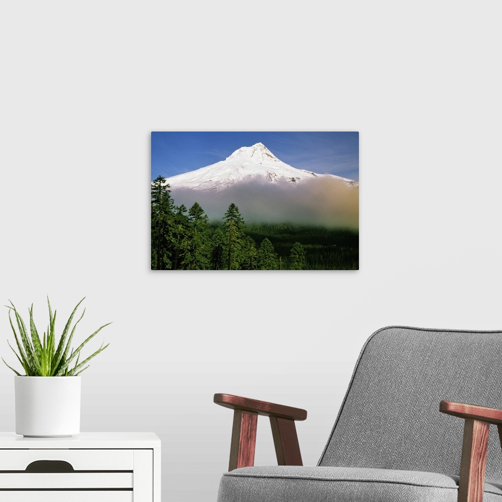 A modern room featuring Mount Hood Above Sunset-Colored Clouds