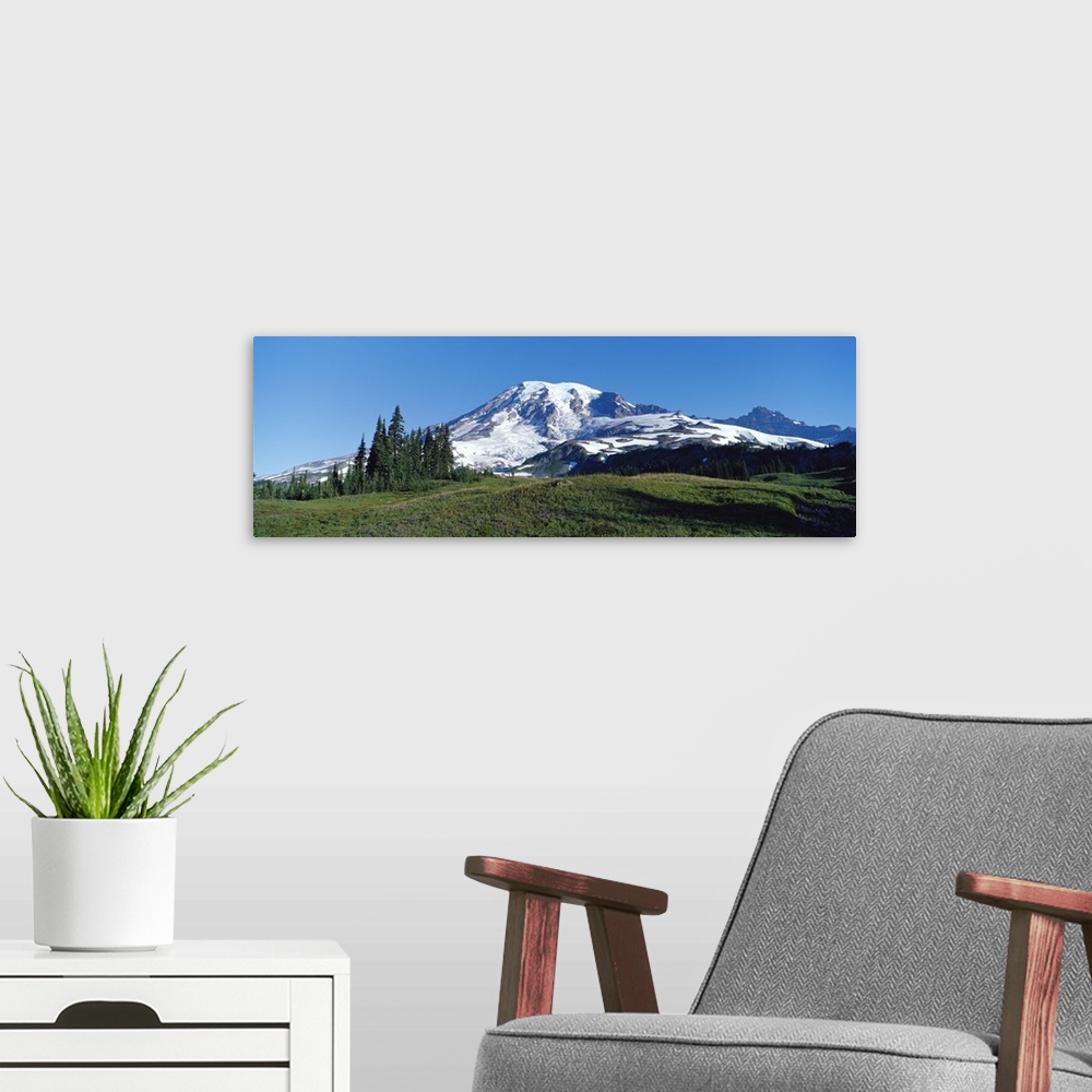 A modern room featuring Mount Rainier Mount Rainier National Park WA