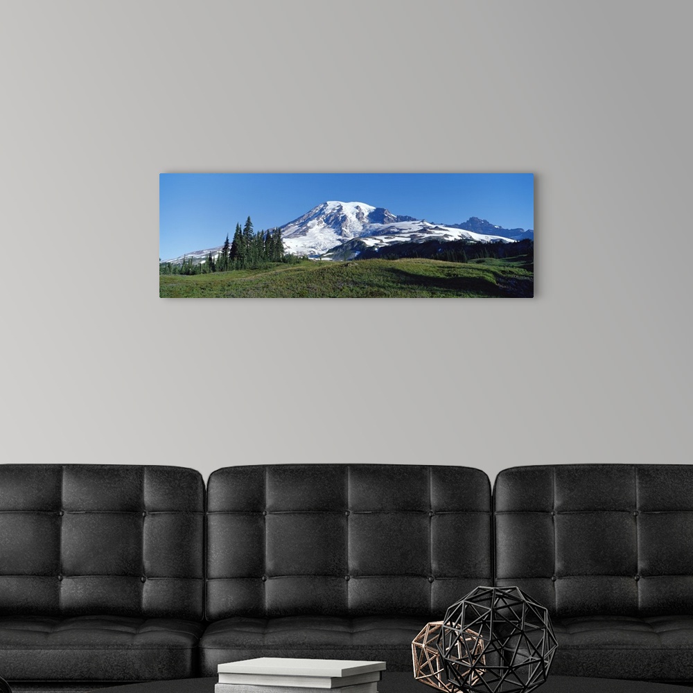 A modern room featuring Mount Rainier Mount Rainier National Park WA