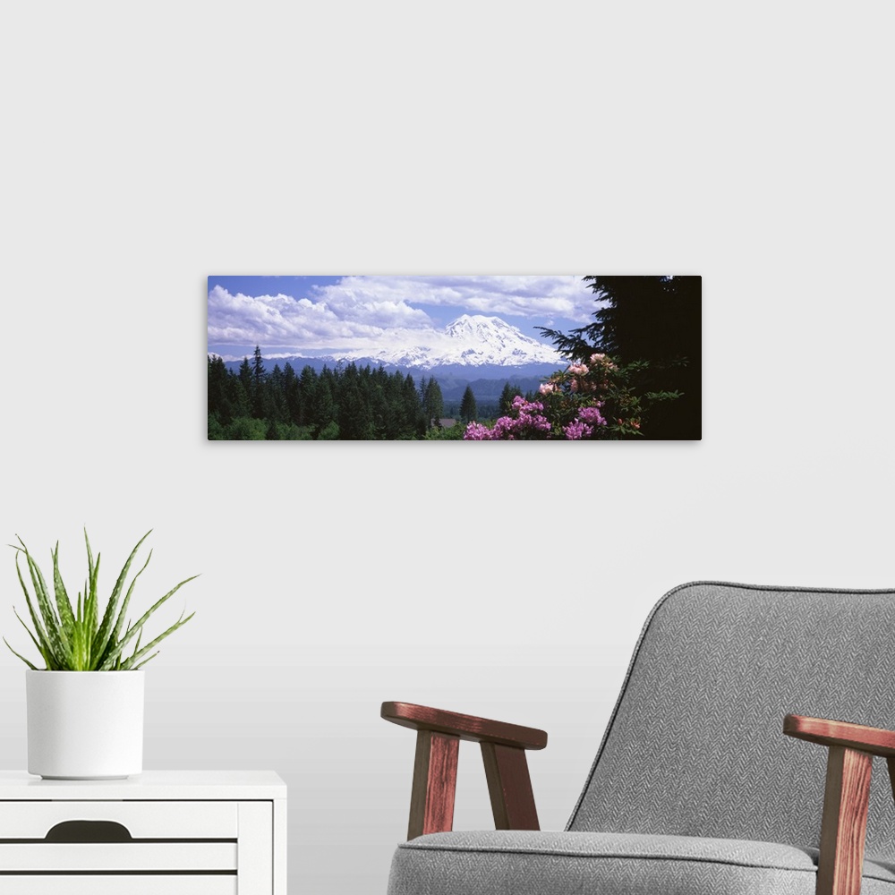 A modern room featuring Mount Rainier & spring rhododendrons Graham WA