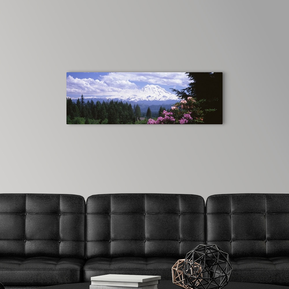 A modern room featuring Mount Rainier & spring rhododendrons Graham WA