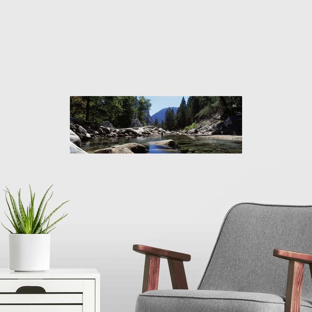 A modern room featuring Panoramic photograph taken from the surface of a quietly moving stream littered with rocks of all...