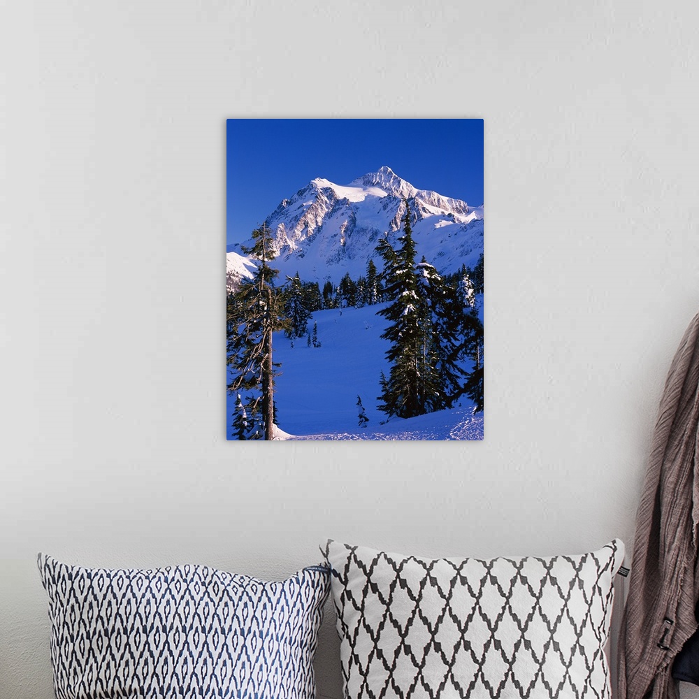 A bohemian room featuring Mountain covered with snow, Mt Shuksan, North Cascades National Park, Whatcom County, Washington ...