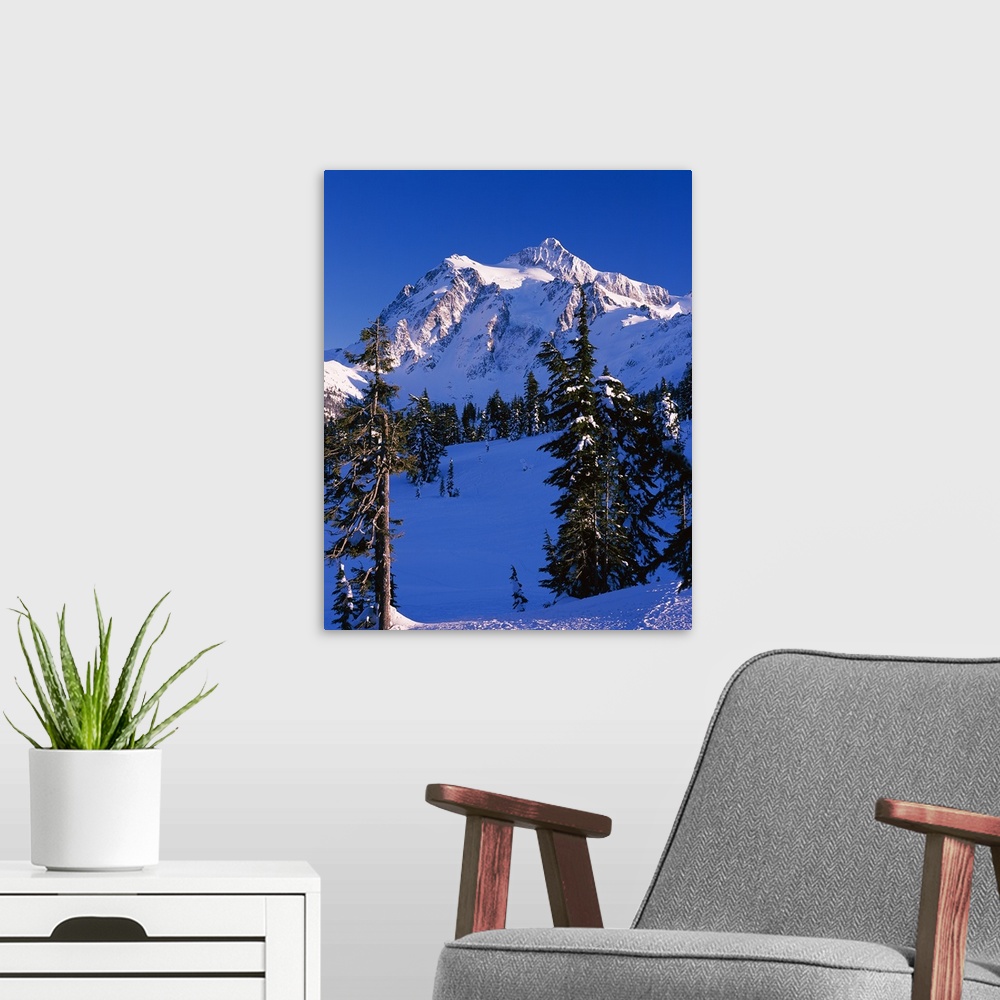 A modern room featuring Mountain covered with snow, Mt Shuksan, North Cascades National Park, Whatcom County, Washington ...