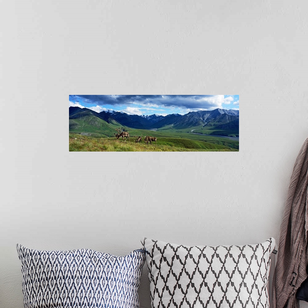 A bohemian room featuring Panoramic picture taken of a mountain range off in the distance with vast fields in front of them...