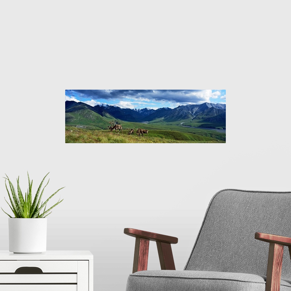 A modern room featuring Panoramic picture taken of a mountain range off in the distance with vast fields in front of them...