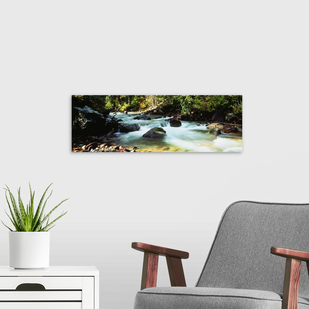 A modern room featuring A time lapsed photograph of water coursing through a boulder filled river bed in the forest.