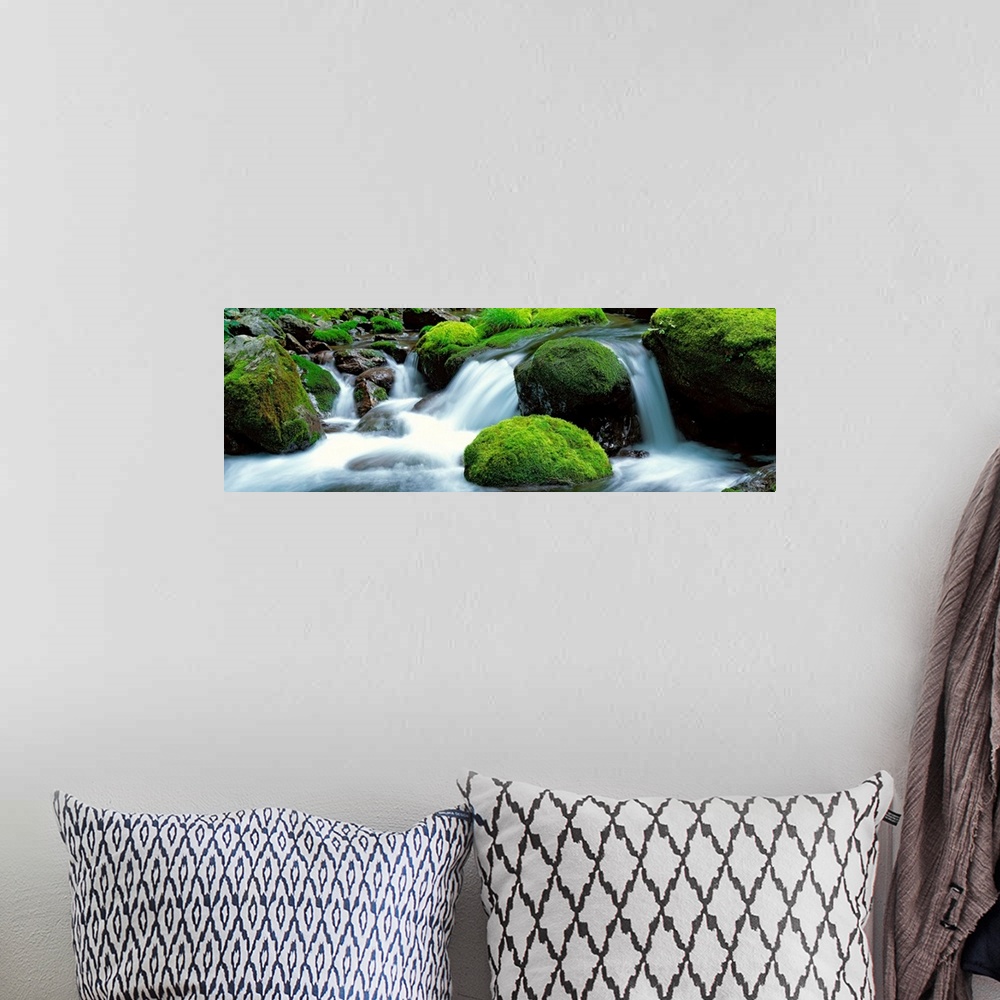 A bohemian room featuring Panoramic photograph showcases water as it rushes down the small drop-offs of a river littered wi...